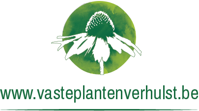 Logo vaste planten verhulst
